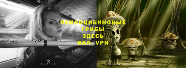 твердый Алексин