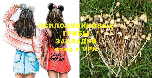 стаф Алексеевка