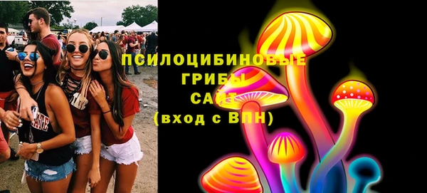 стаф Алексеевка