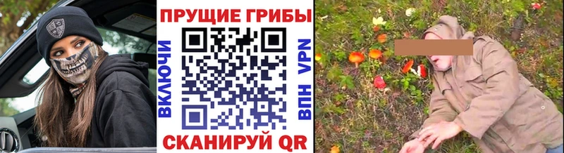 Галлюциногенные грибы мухоморы  магазин продажи наркотиков  Грайворон 